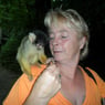 ingo62