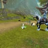 idefix178