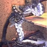 Bigsnake
