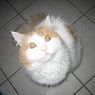 marusmaus