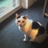 conny0412
