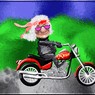 bikermieze