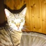 Andree5702
