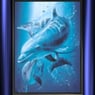 delphin58