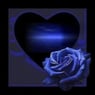 rose47de