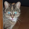 kassy83