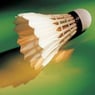 DackelFan