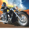 TheBiker2