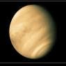 venus1903