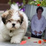 Liesel48