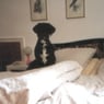 donna0812