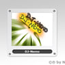 djnemo