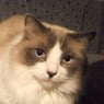Chantal1102