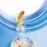 Goldfisch27