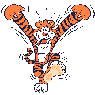 Tigerskin