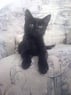 kessy12