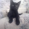 kessy12