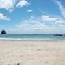 TJ05021987