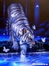 MrTiger2