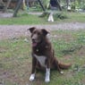 Billy2