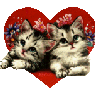 katze95