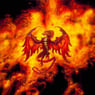 Phoenix65