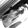 sweetgirly91