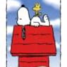 snoopy1367