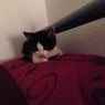 JennyPrincess94
