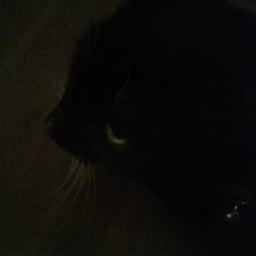 image of MiaXXX