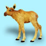 luckyelch