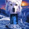wolfskind07