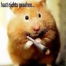 Schmusispatz