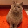 spyke1