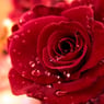 DiamondHeart
