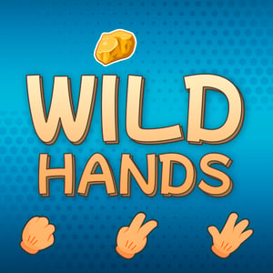 Freundesspiele in Wild Hands image