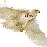 ghost1848
