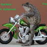 frosch7