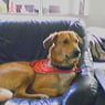 Teddy20007