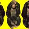 heiko1607