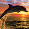 Delphin1280