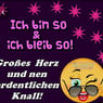 bruellmuecke