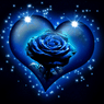 Bloom4a
