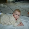 geneme