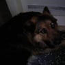 Cody111