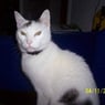 Tina1408