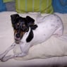 lulu2005