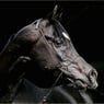 Jockey2004