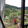 Kullerauge