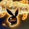 Bohne12